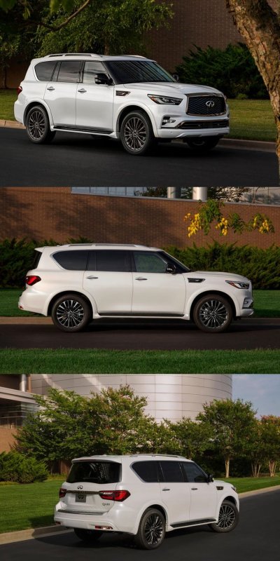 Инфинити qx80 вид сзади