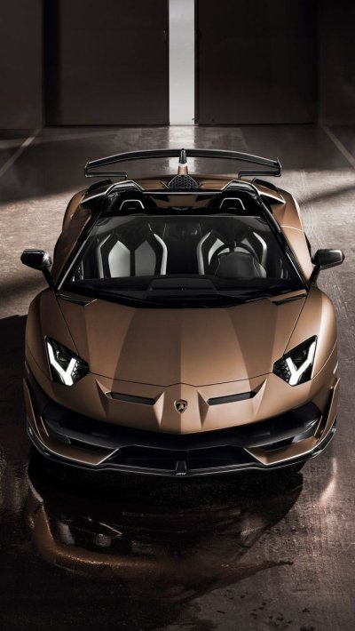 Lamborghini Aventador Roadster