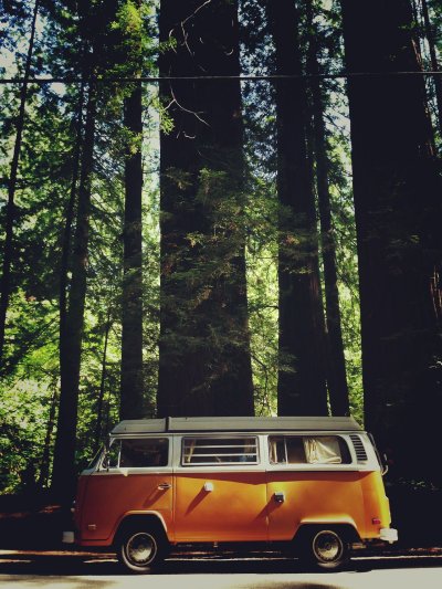 Volkswagen Transporter t1 хиппи