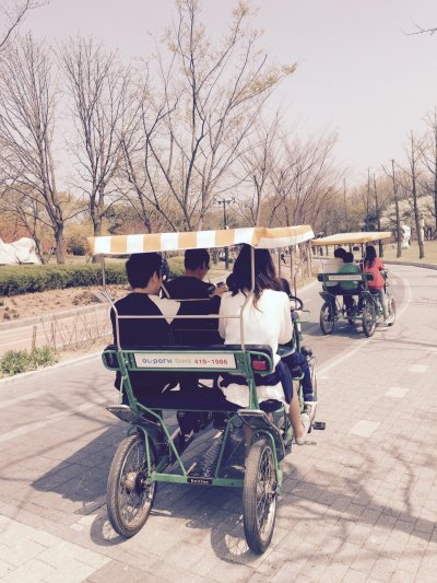 Велосипед пикник