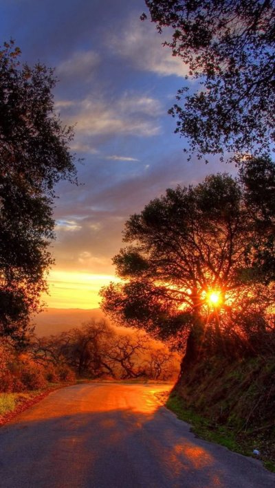 Природа закат