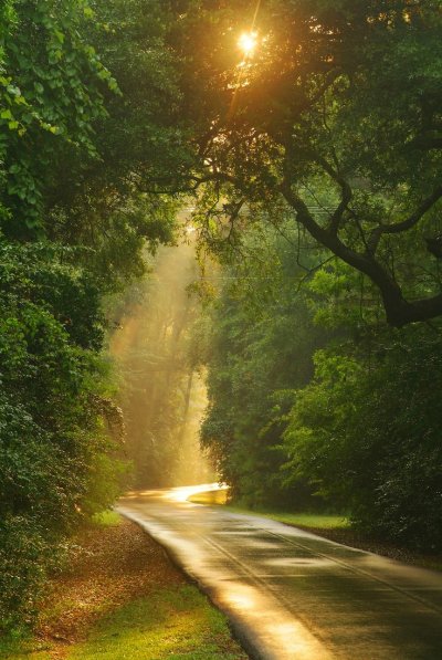 Солнечная дорога