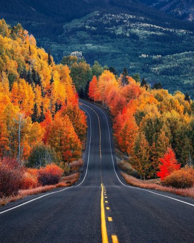 Дорога в осень