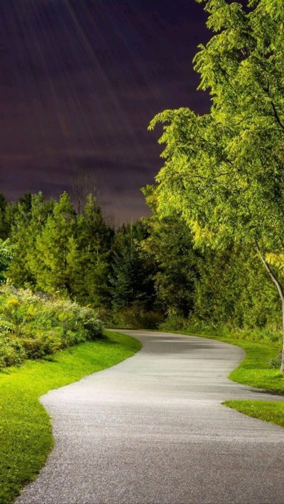 Обои вертикальные