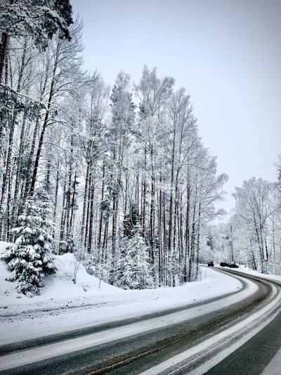 Зима дорога