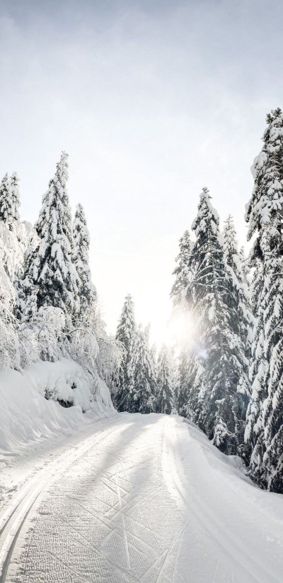 Зимняя дорога