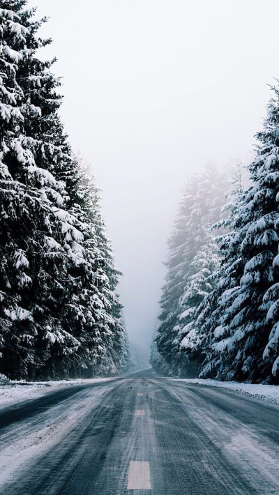 Зимняя дорога вдоль леса