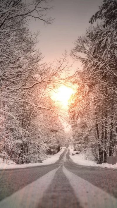 Зимняя дорога