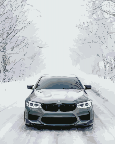 BMW m5 f90 зима