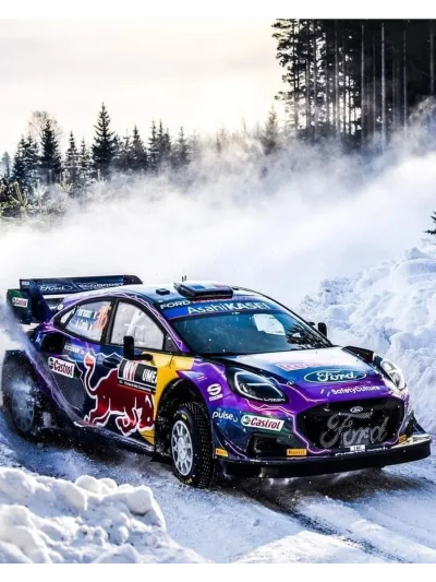 Крейг Брин ралли