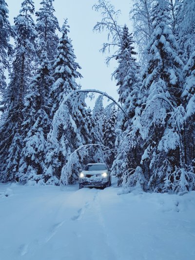 Машина зима