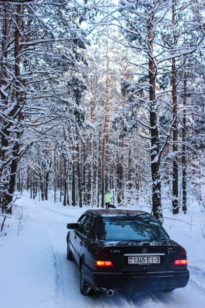 Мерседес 140 зимний лес