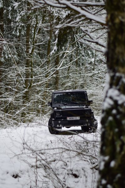 Гелик зимой