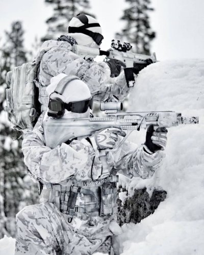 Солдаты зимой