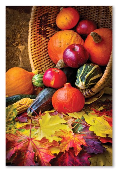 Осенние овощи и фрукты