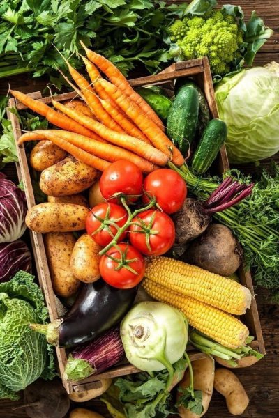 Растительная пища