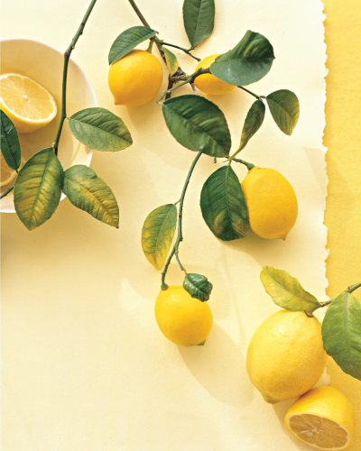 Красивые лимоны на ветке