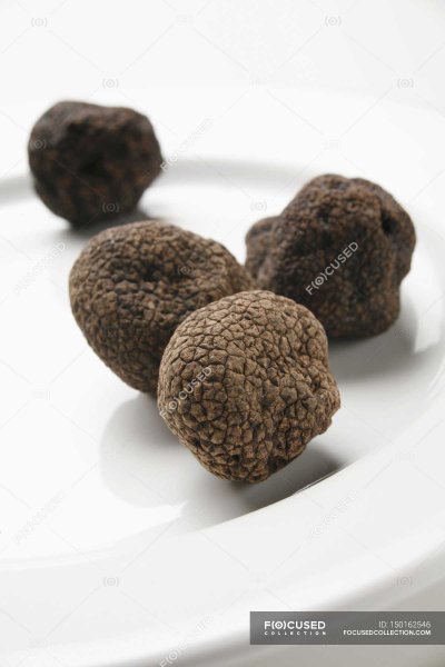 Трюфель на тарелке