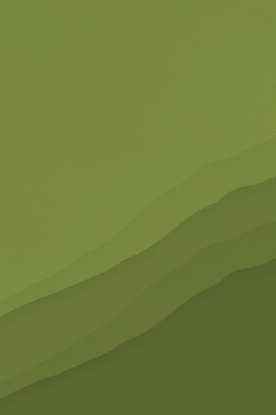 Дарк олива цвет