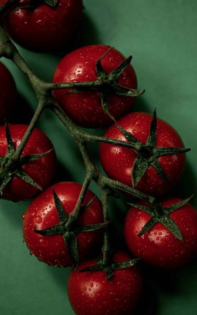 Томаты на ветке