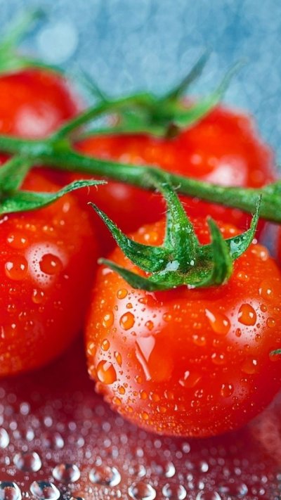 Сочный помидор