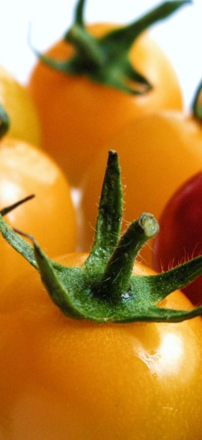 Помидор Карамелька