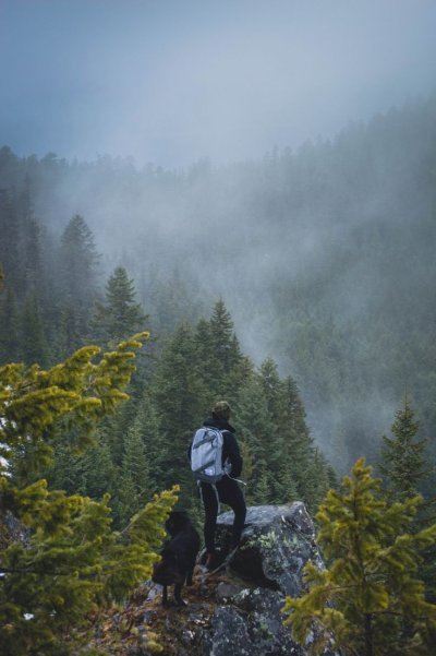 Туризм в лесу