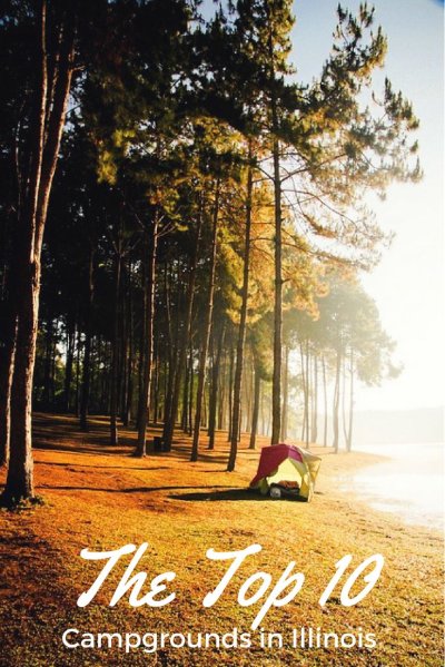 Кемпинг в лесу