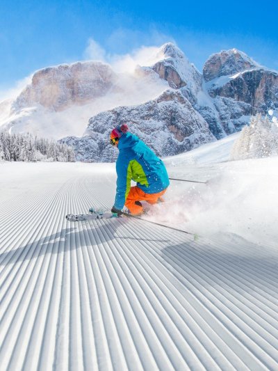 Горные лыжи