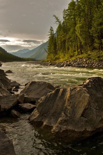 Горная река