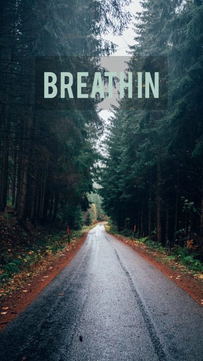 Дорога в лесу