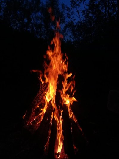 Костры в лесу