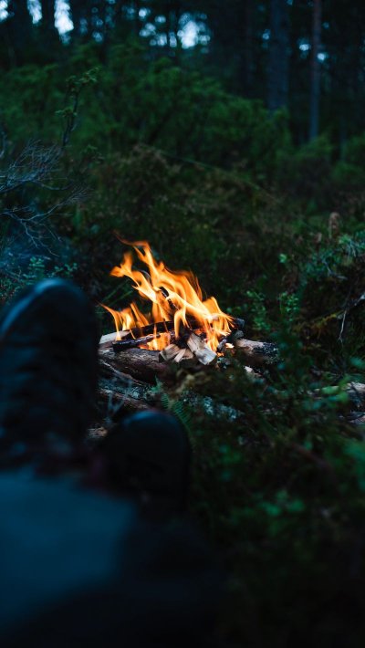 Огонь ночью в лесу