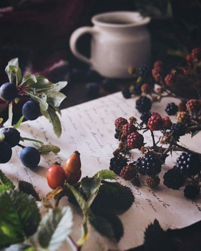 Ягоды Эстетика