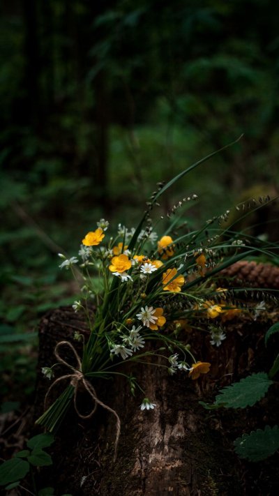Цветочки в лесу