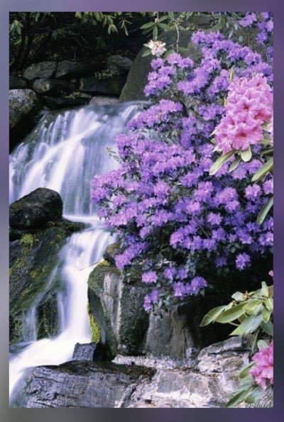 Водопад цветы