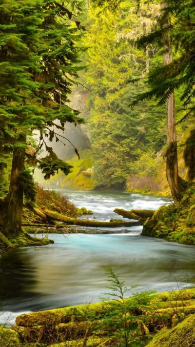 Пейзажи природы