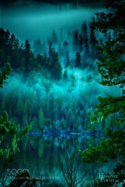 Голубой лес