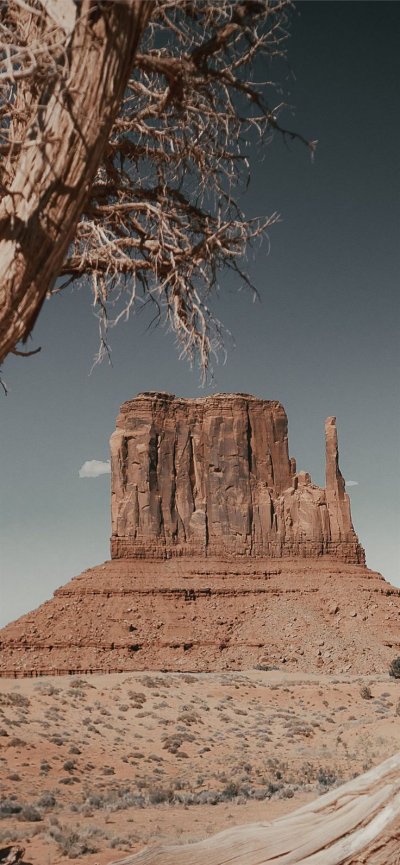 На высоте пустынных скал