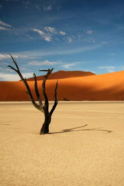Намибия пустыня Намиб