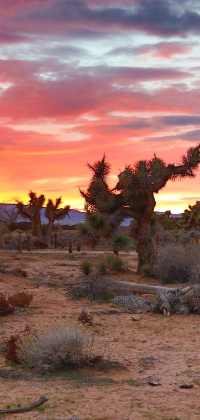 Пустынный ландшафт