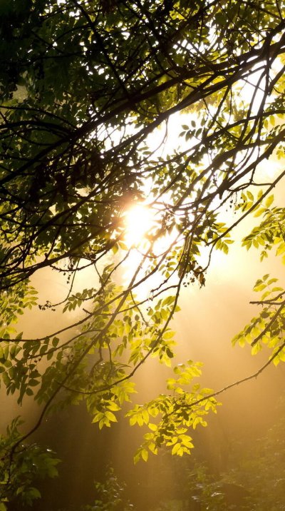 Солнечное Марево