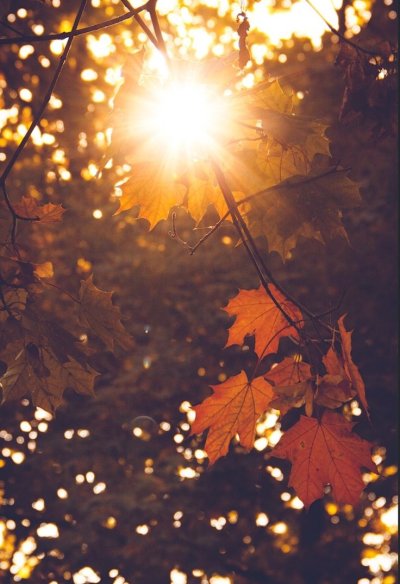 Осеннее солнце