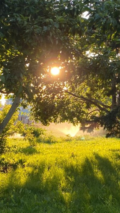 Пейзажи природы лето