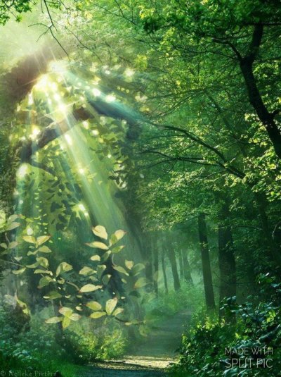 Аниме природа