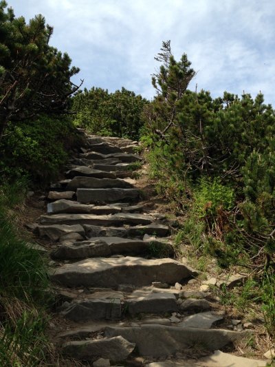 Каменная тропа на море