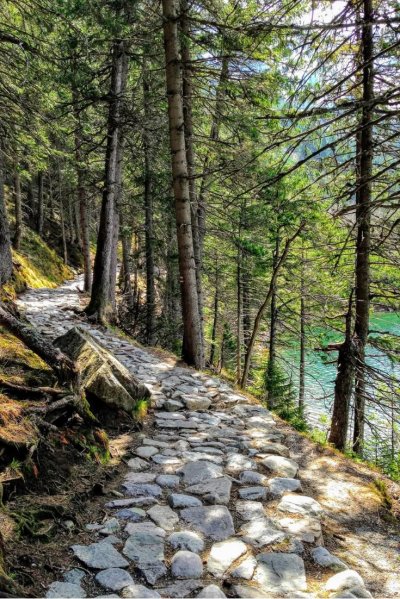 Экотропа каменистая тропа