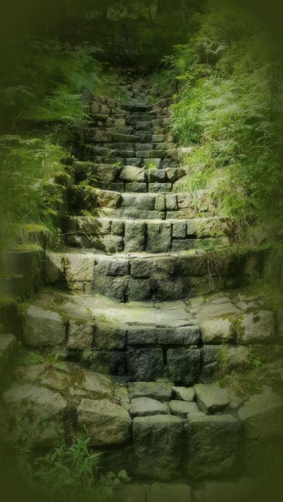 Каменные ступени