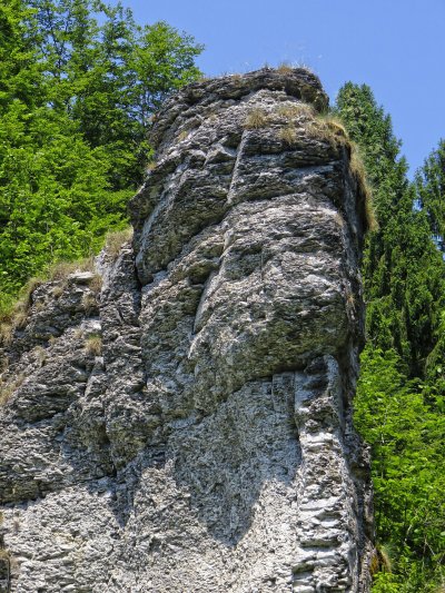 Обнажение горных пород