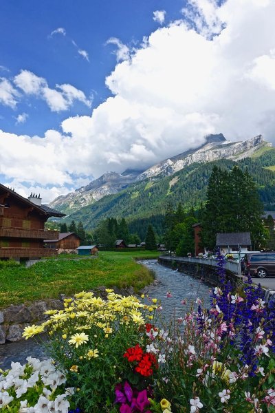 Альпийские Луга Швейцария